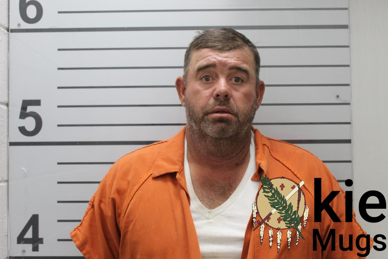 Booking photo of DAVID LEE STANLEY
