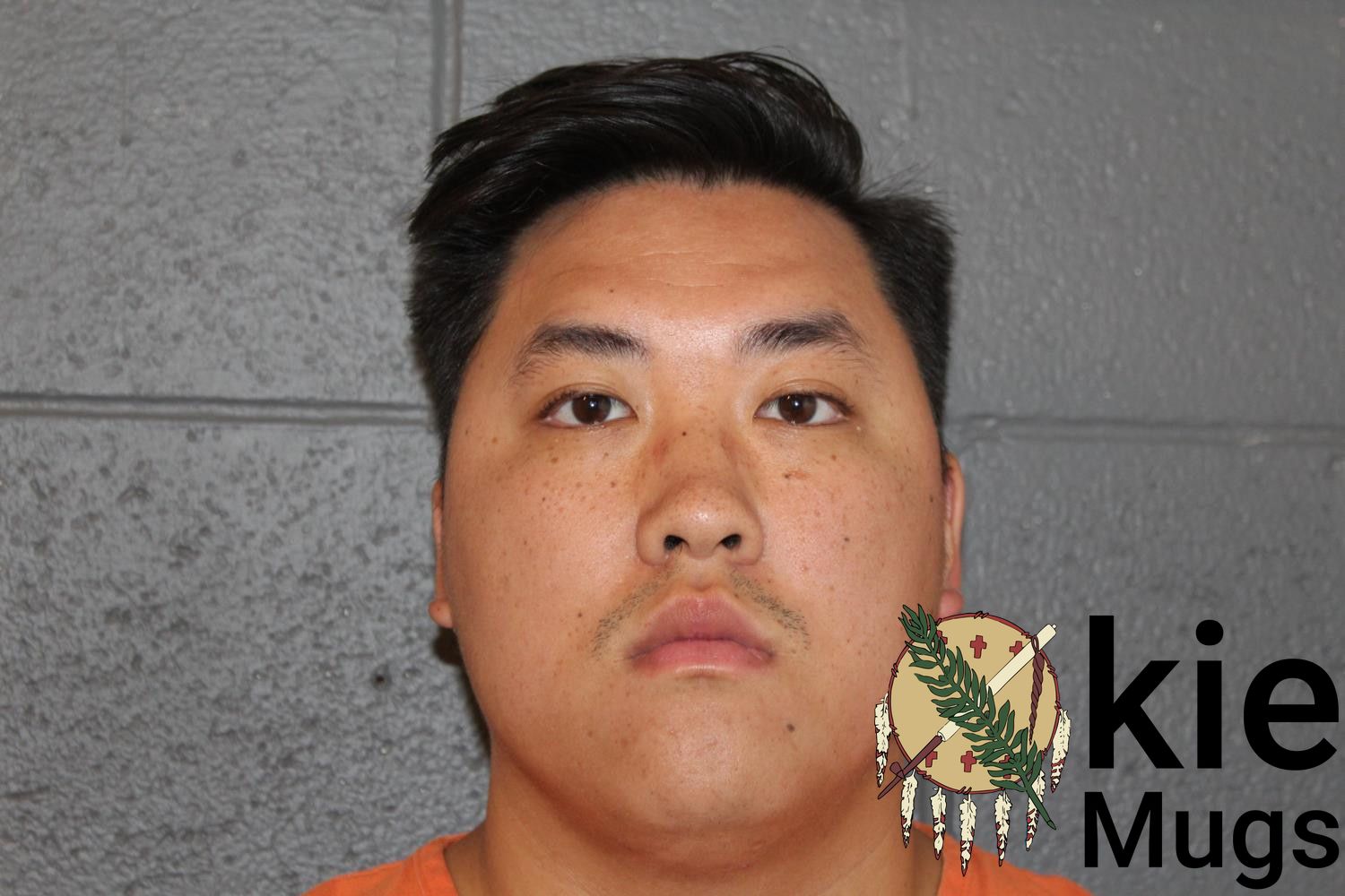 Booking photo of DAVID LEE