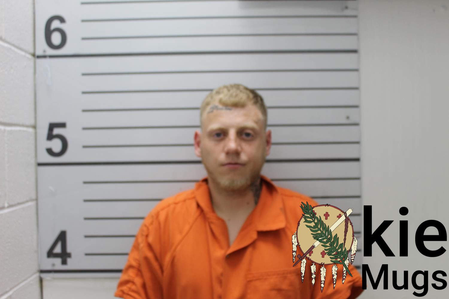 Booking photo of DAVID MICHAEL STEWART