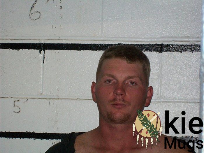 Booking photo of DAVID LEE SIEDLIK