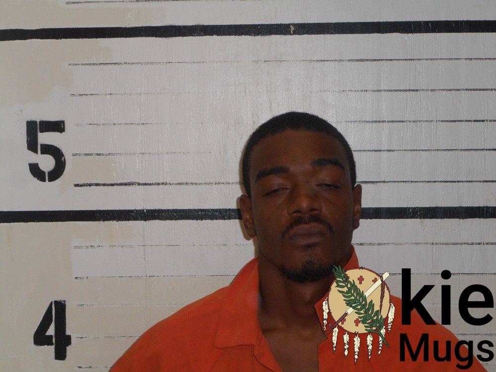 Booking photo of DAVID WILSON