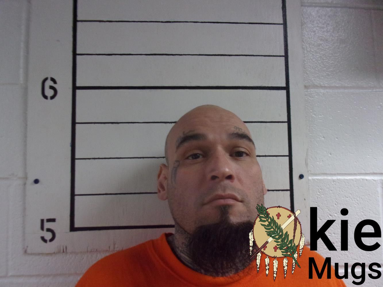 Booking photo of DAVIS HENRY VICK JR