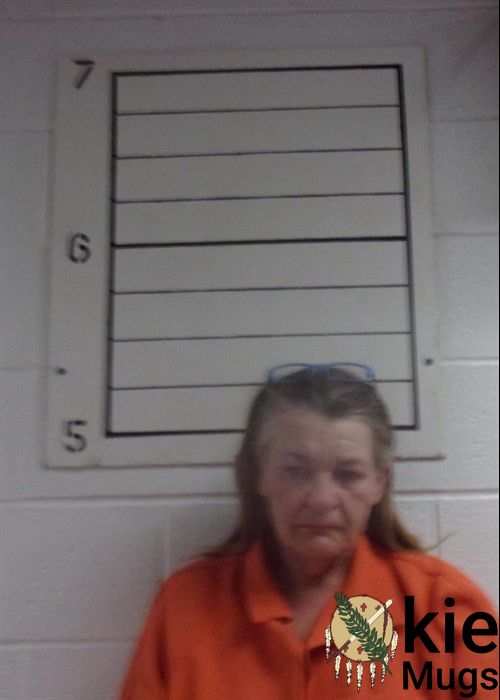 Booking photo of DAWN RAE CHEEK