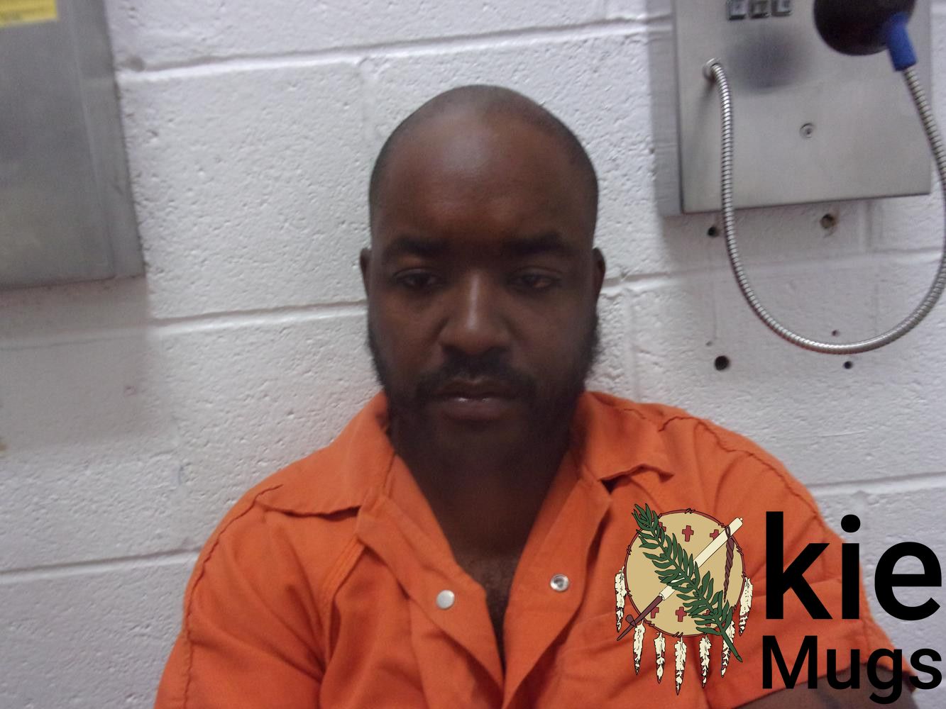 Booking photo of DEAUNDRAY CHRISSHAWN WILLIAMS
