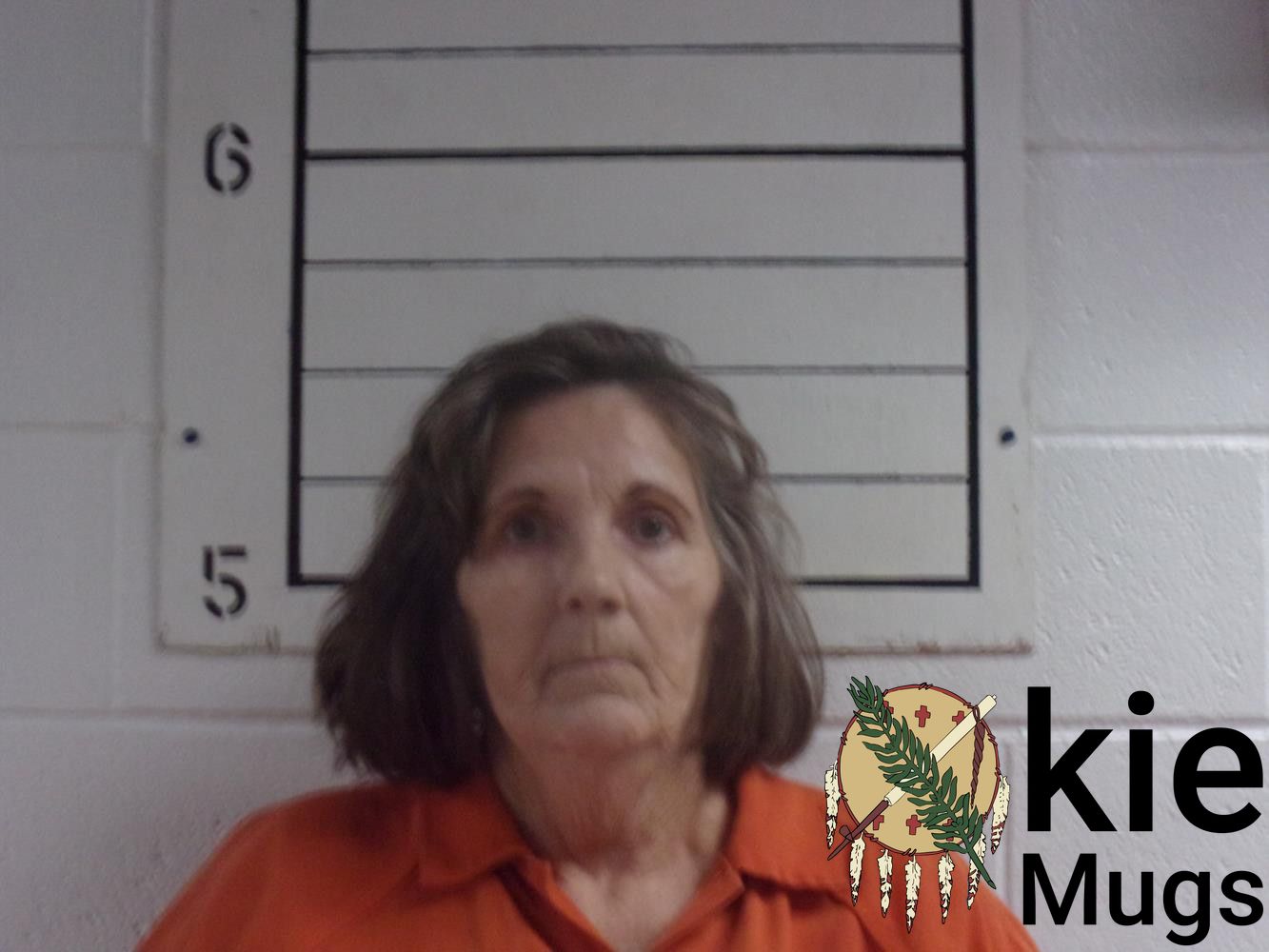 Booking photo of DEBBIE LYNN WHITMIRE