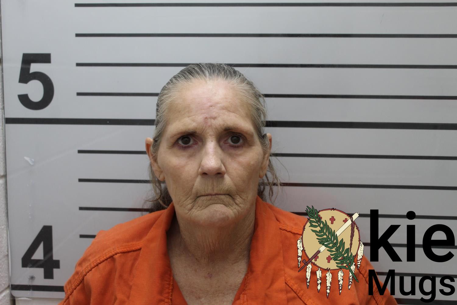 Booking photo of DEBBIE LYNN (CHEROKEE) WHITMIRE