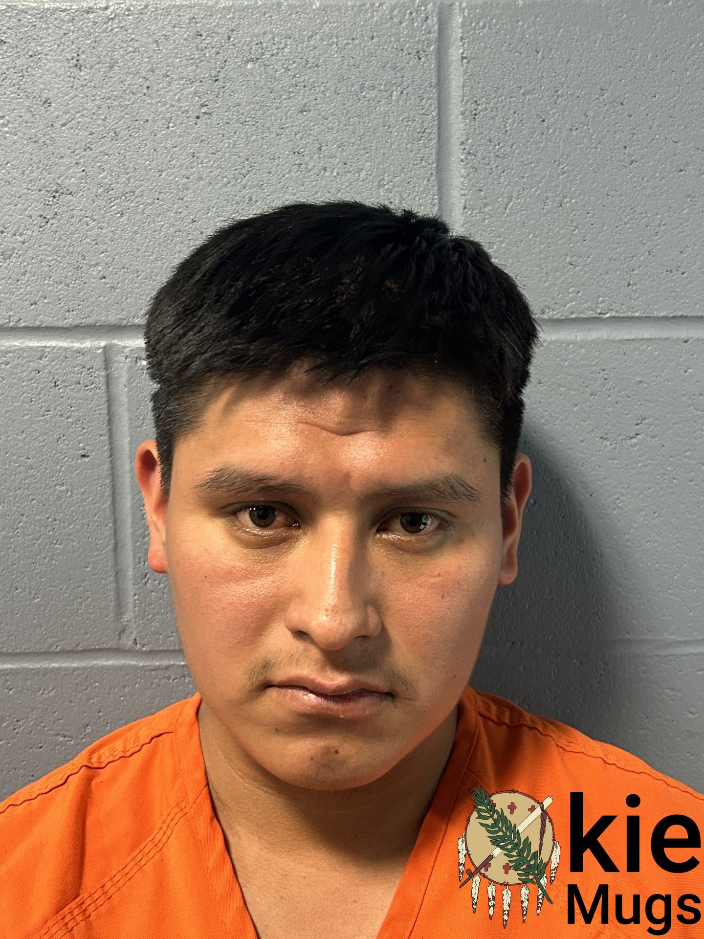Booking photo of DENI GUZMAN