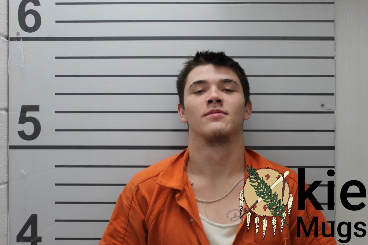 Booking photo of DENIM COLE (CREEK) ADAMS