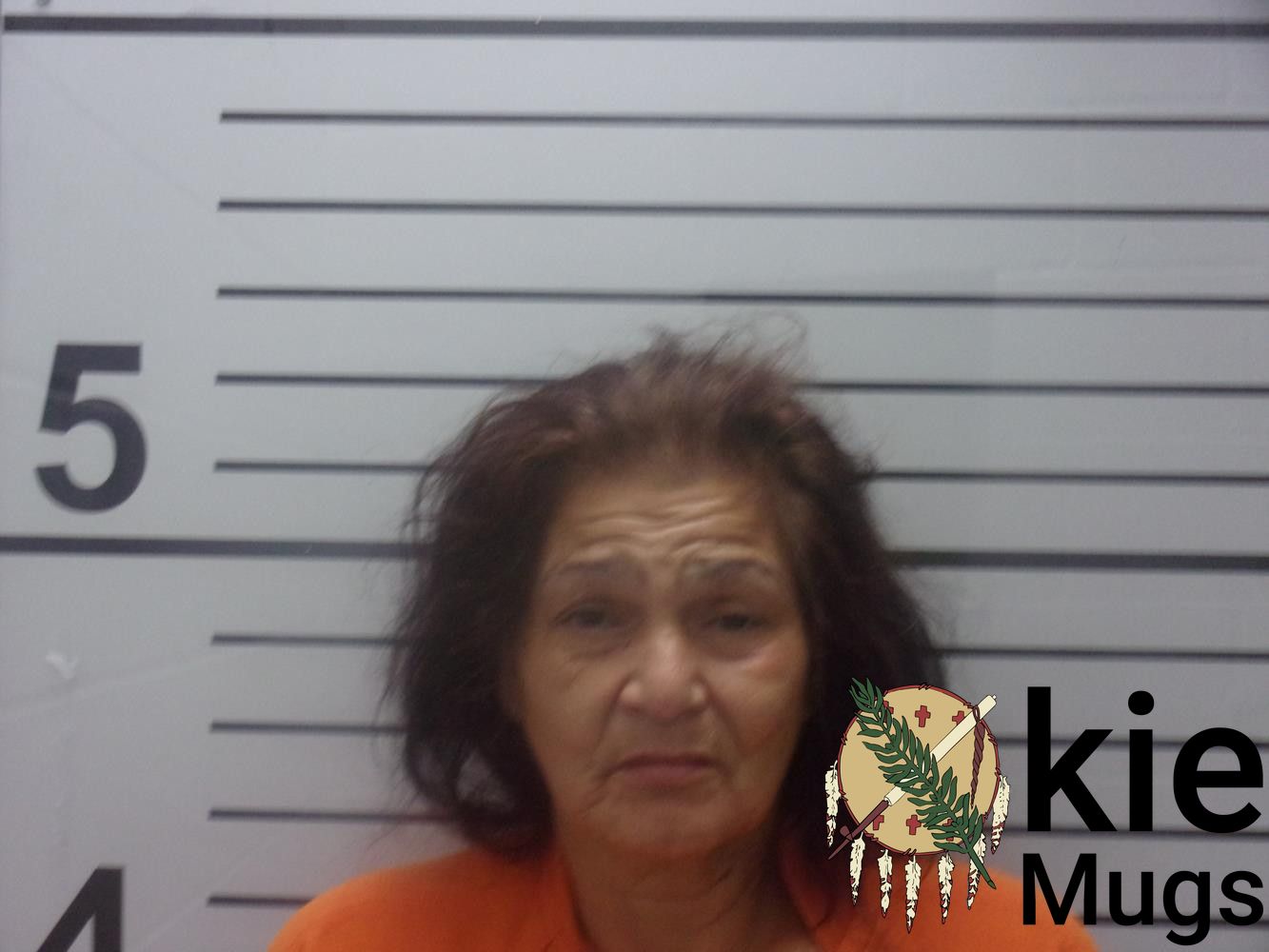 Booking photo of DIANA JOYCE COMPTON