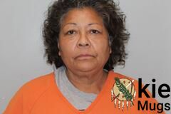 Booking photo of DIANA MICHELLE BLUEBIRD
