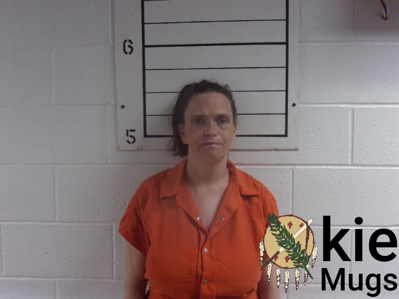 Booking photo of DIANE MARIE WORLEY