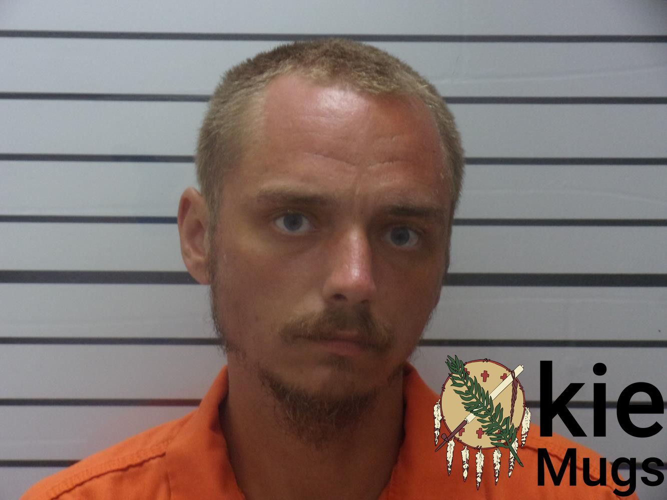 Booking photo of DILLON REED HAMMONTREE