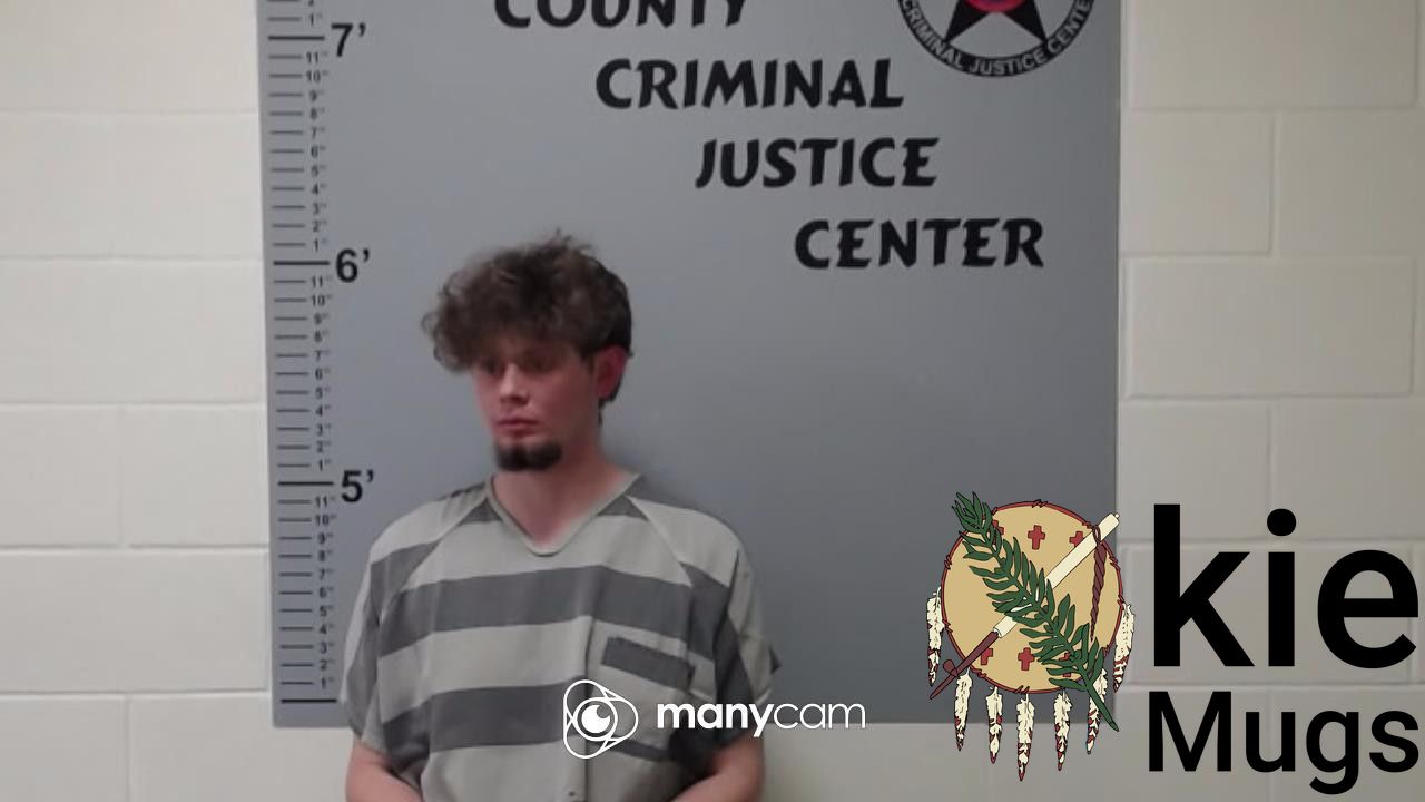 Booking photo of DOMINIC LAVOIE