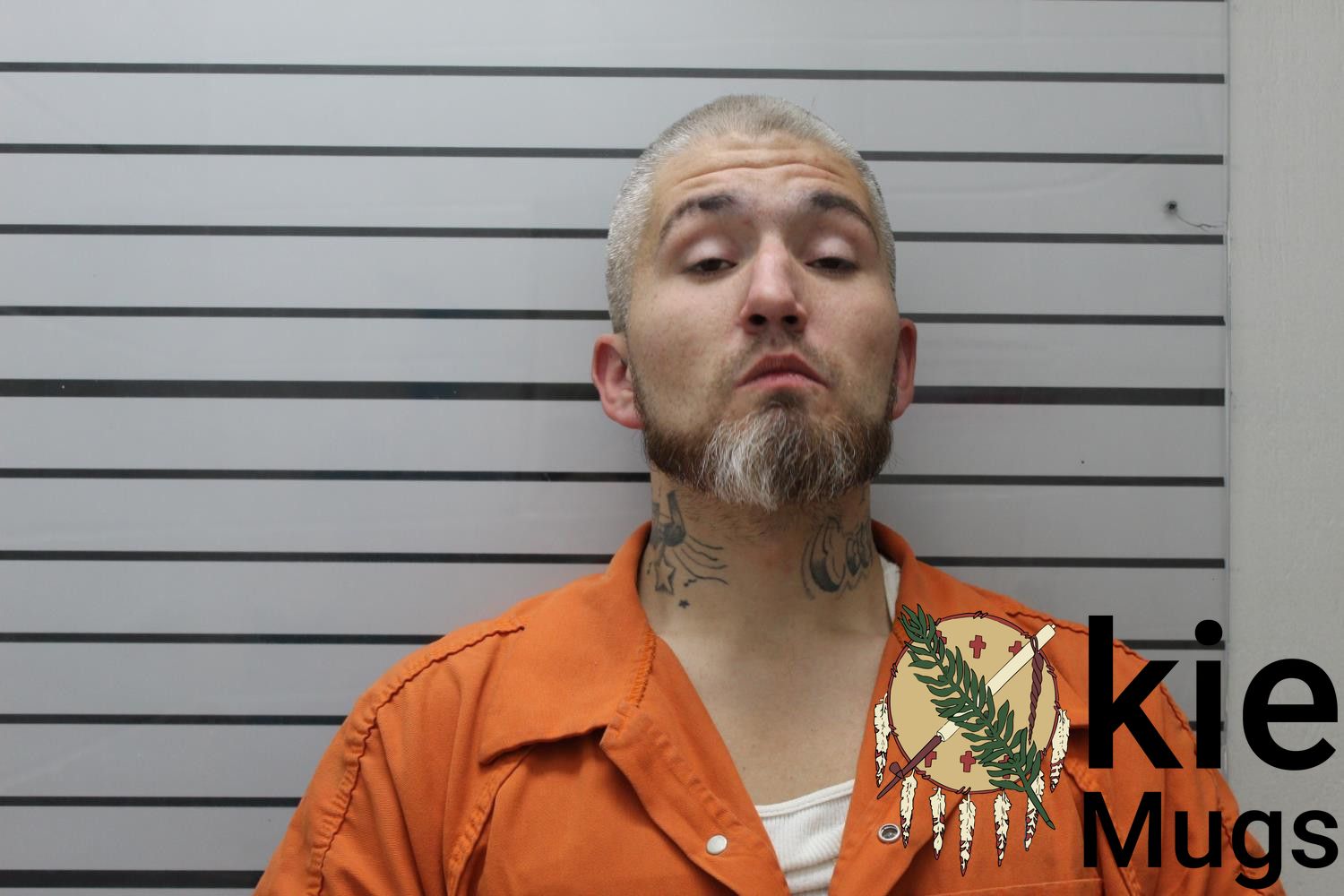 Booking photo of DOMINIC LEE (CREEK) WATERDOWN