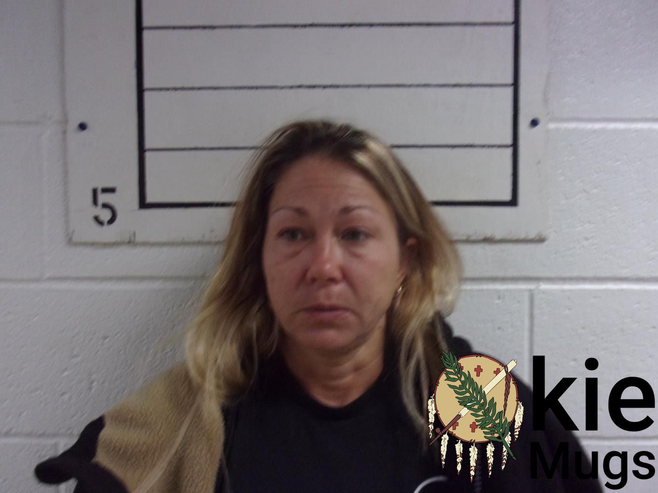 Booking photo of DORINE NICOLE PALMER