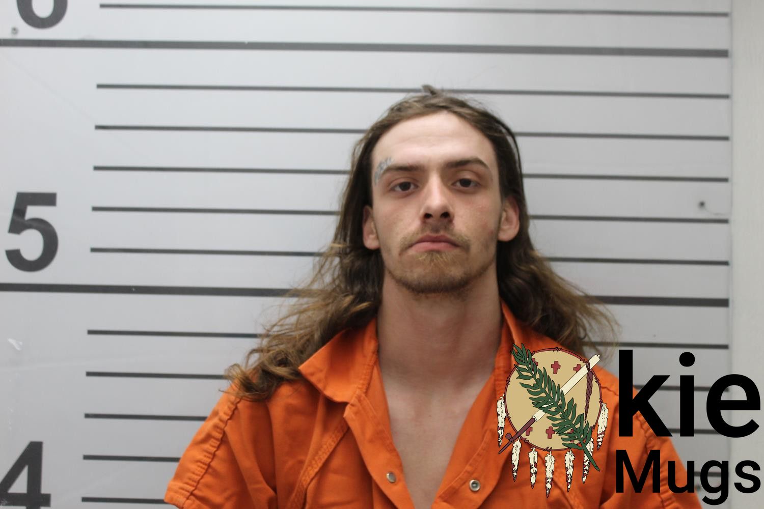 Booking photo of DYLAN DEWAYNE ANDREWS