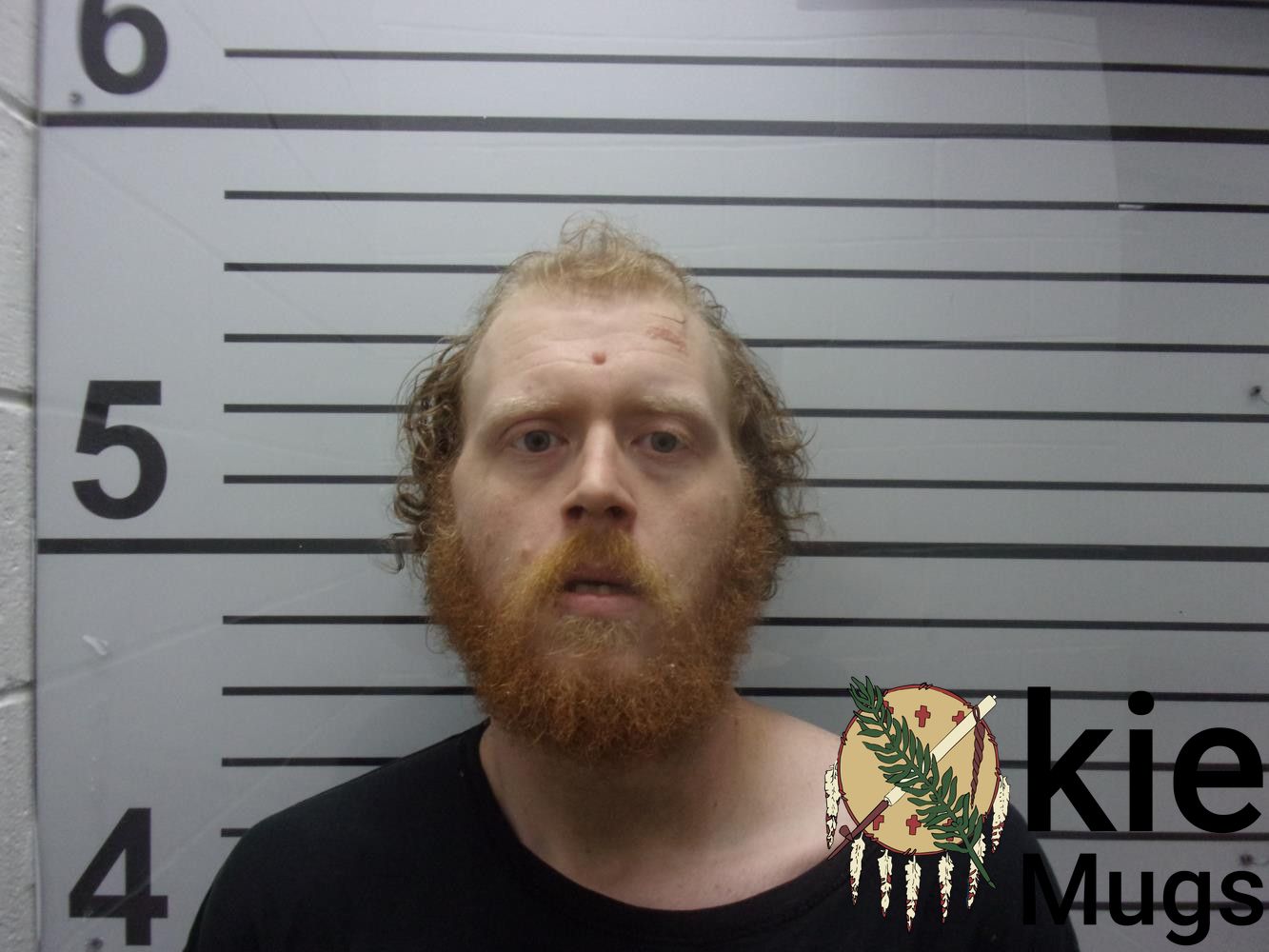 Booking photo of DYLAN MCHOLLAND