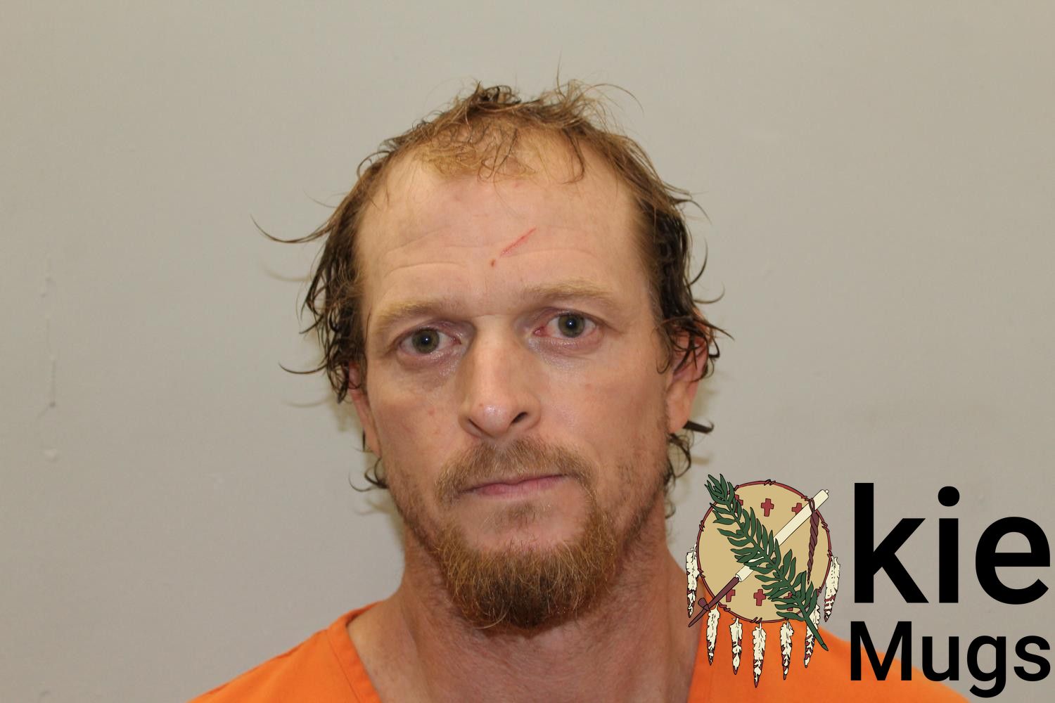 Booking photo of EDWARD MCCLAIN STOLL