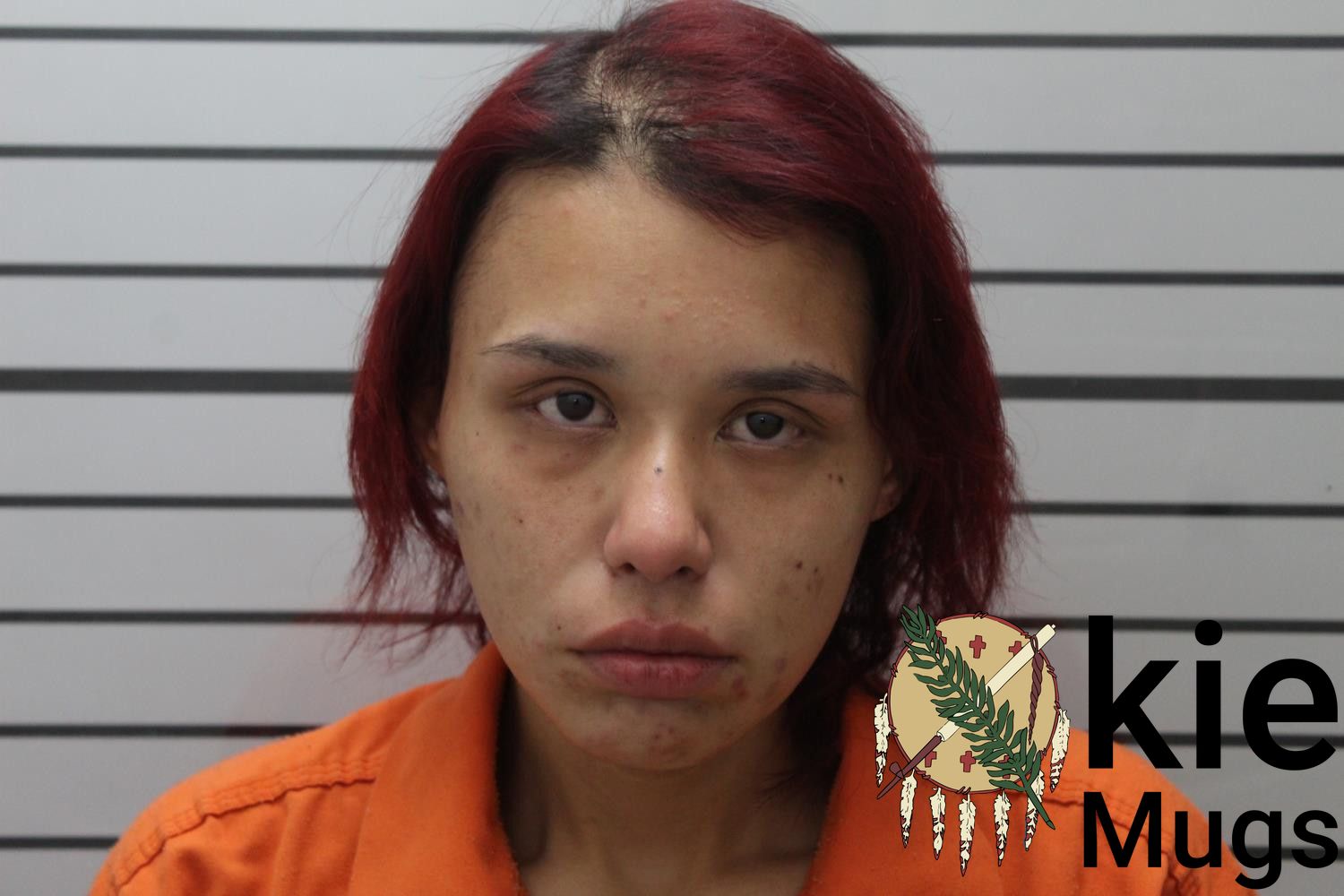 Booking photo of ELISE MORGAN (CREEK) ANDERSON