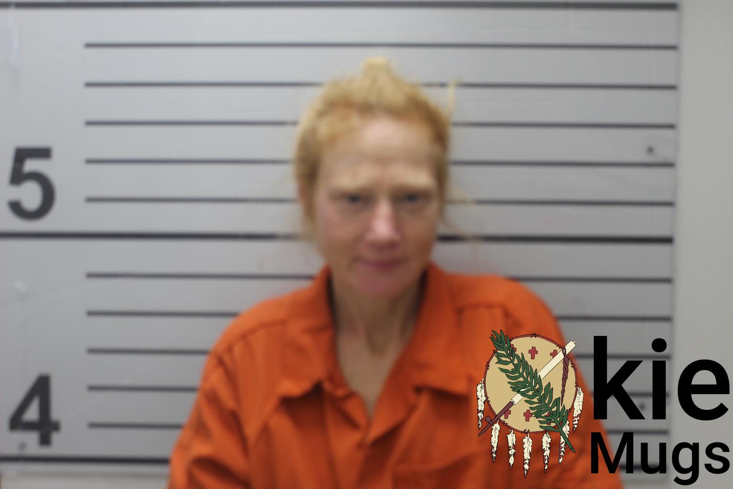 Booking photo of ELLEN RILENE (CREEK) VANBRUNT