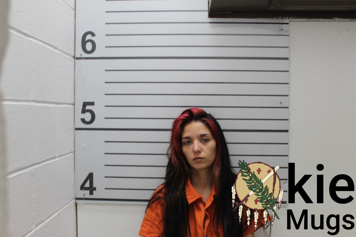 Booking photo of ELLISA ANNE MITCHELL