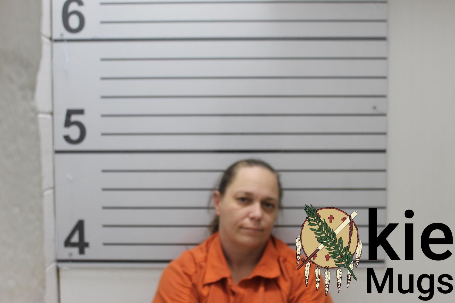 Booking photo of ELVA HOOD