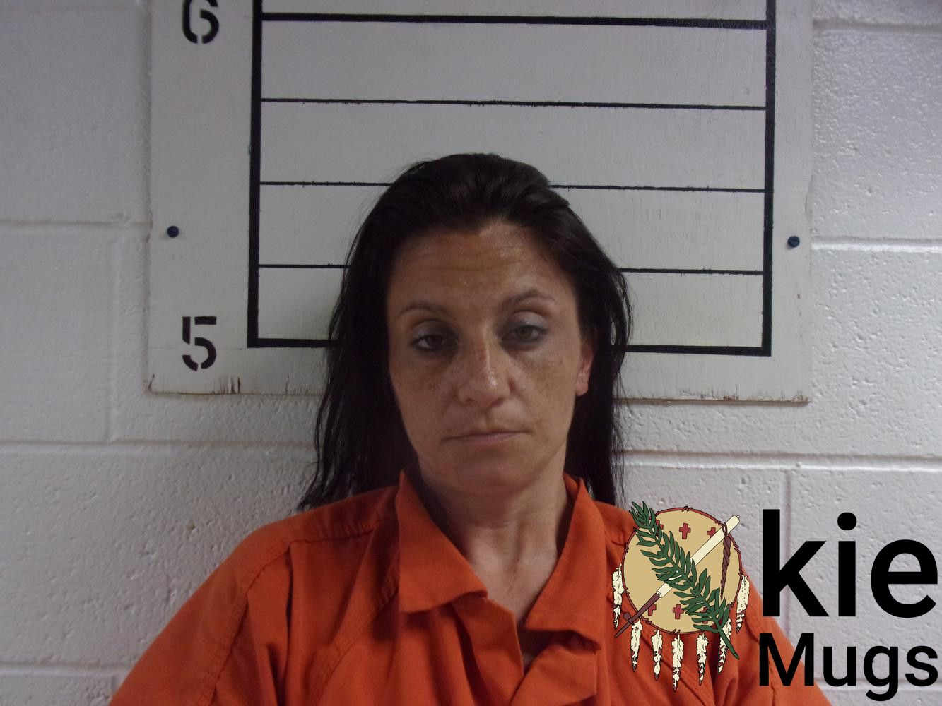 Booking photo of ERICA DAWN FORD