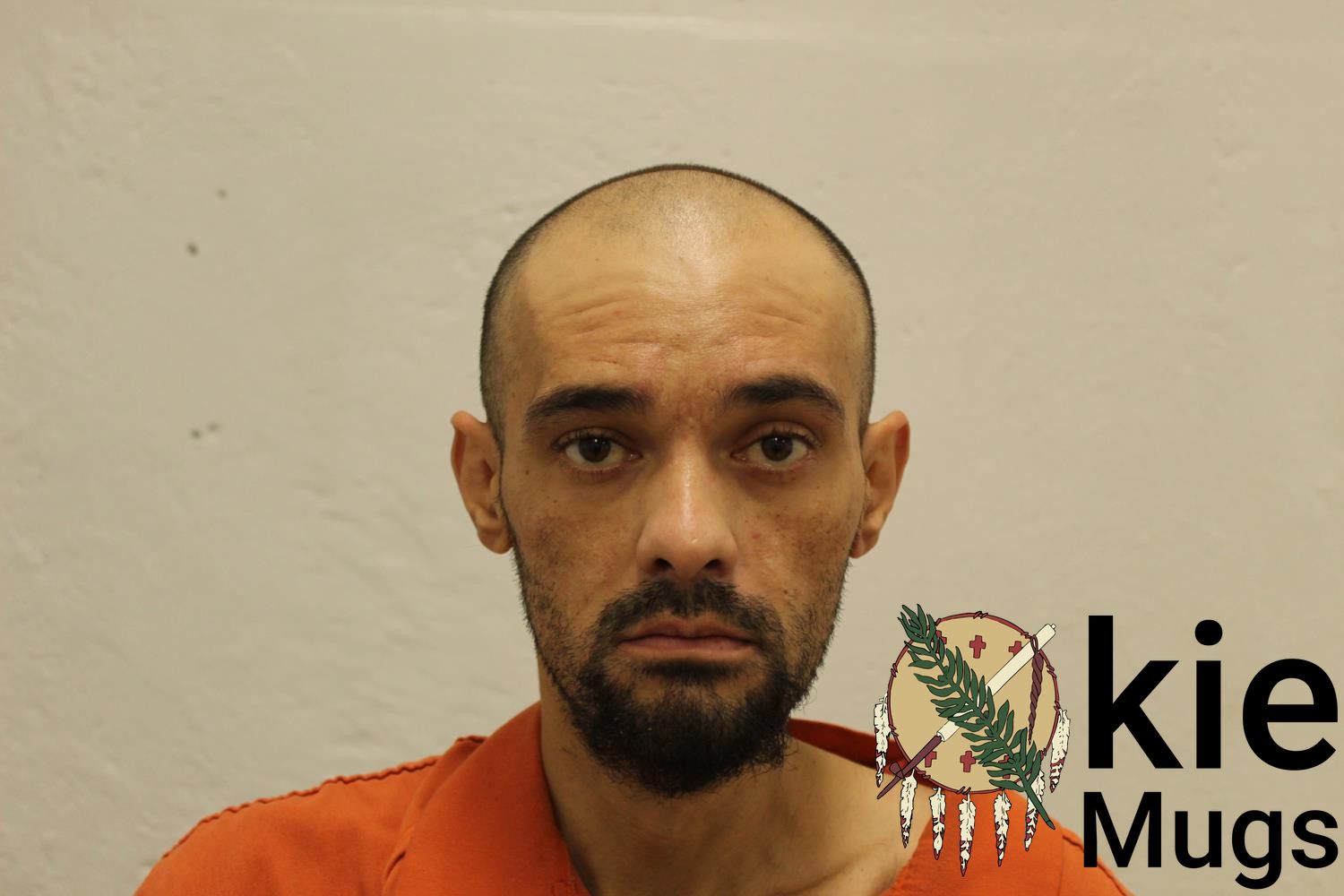 Booking photo of ETHAN SVITKA