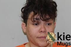 Booking photo of EVELENA AMBROSE