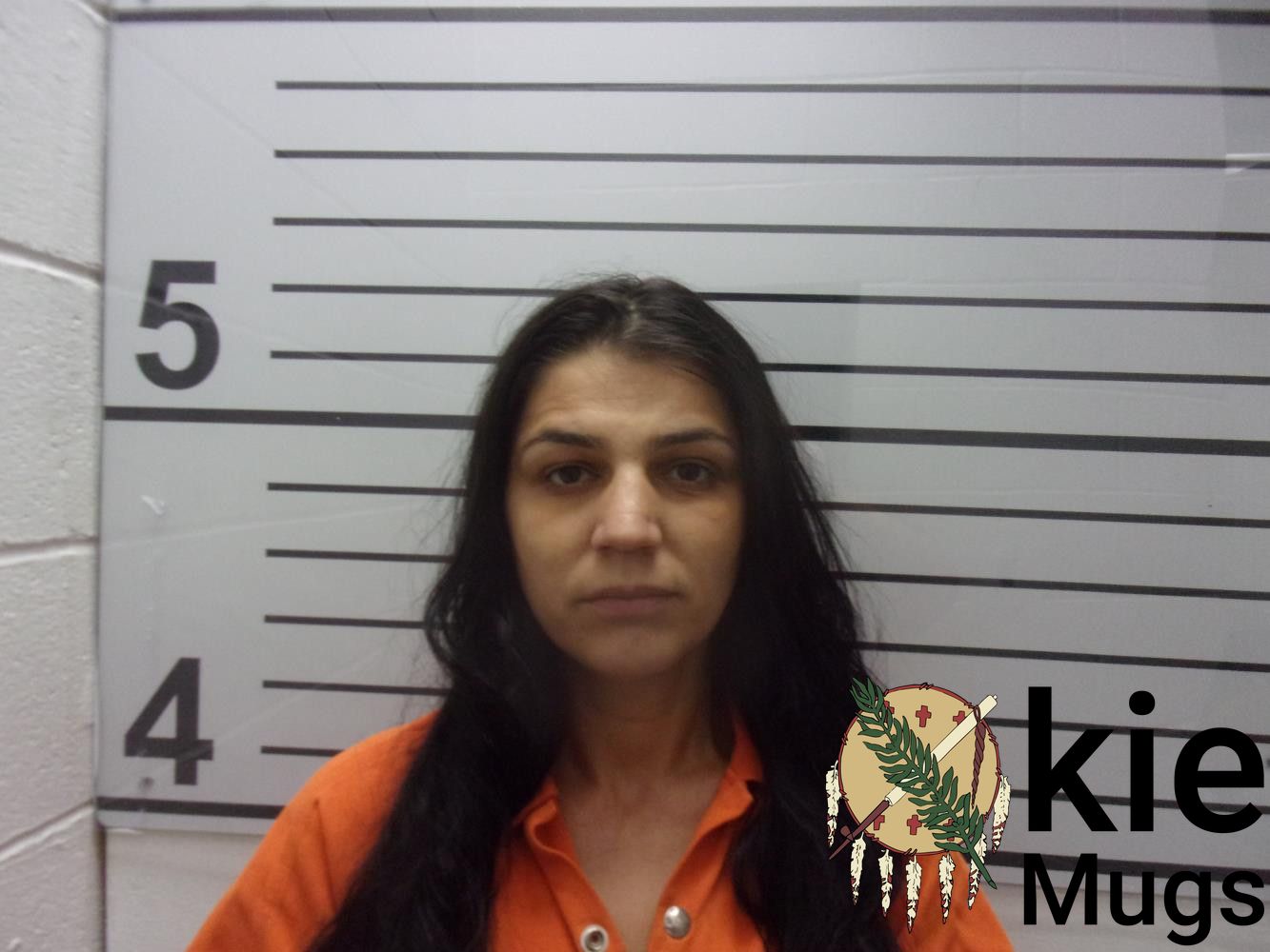 Booking photo of FLORENTINA VADUVA