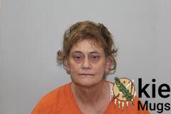 Booking photo of GEINA LOUSIE PAUL