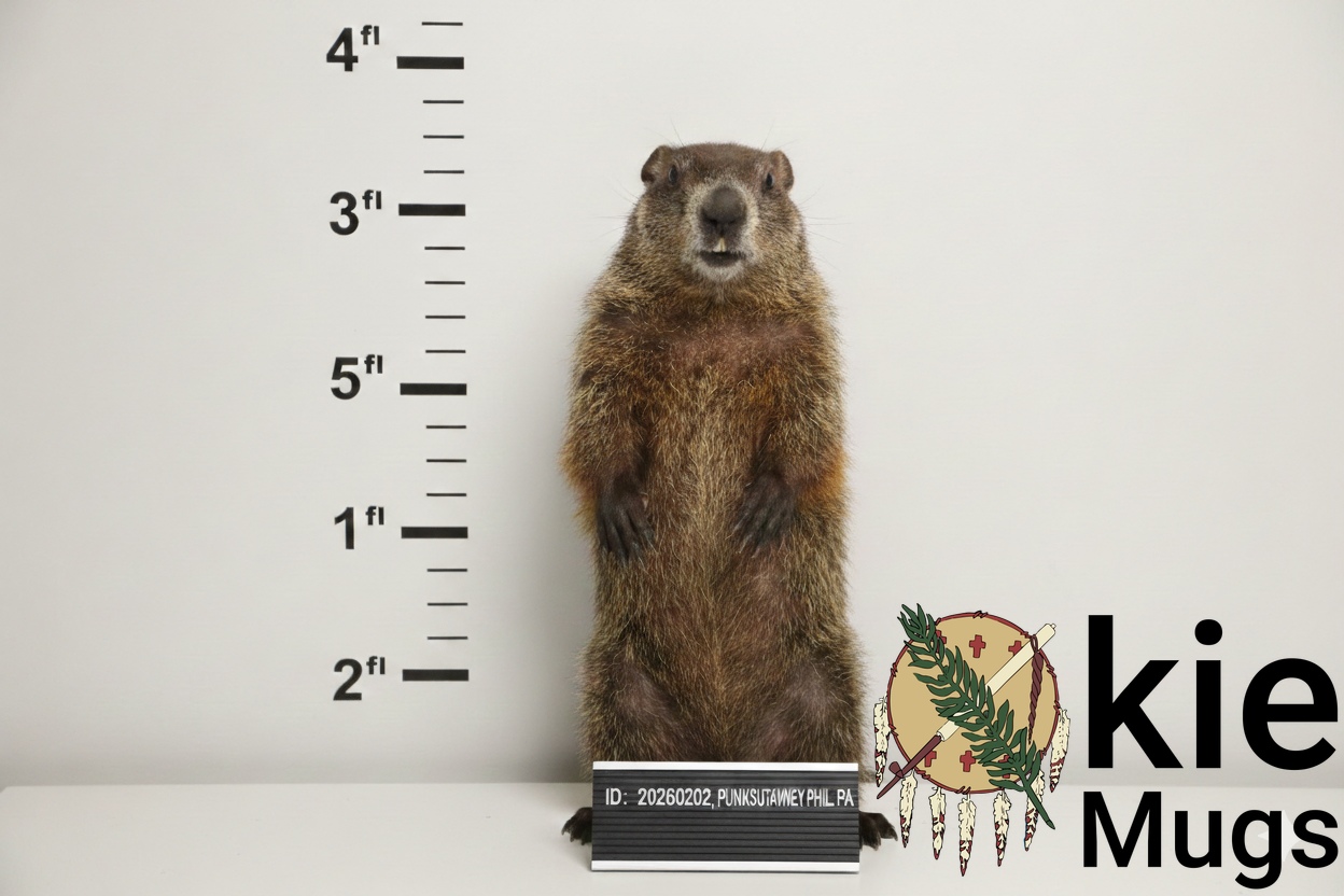 Booking photo of PUNXUTAWNEY PHIL