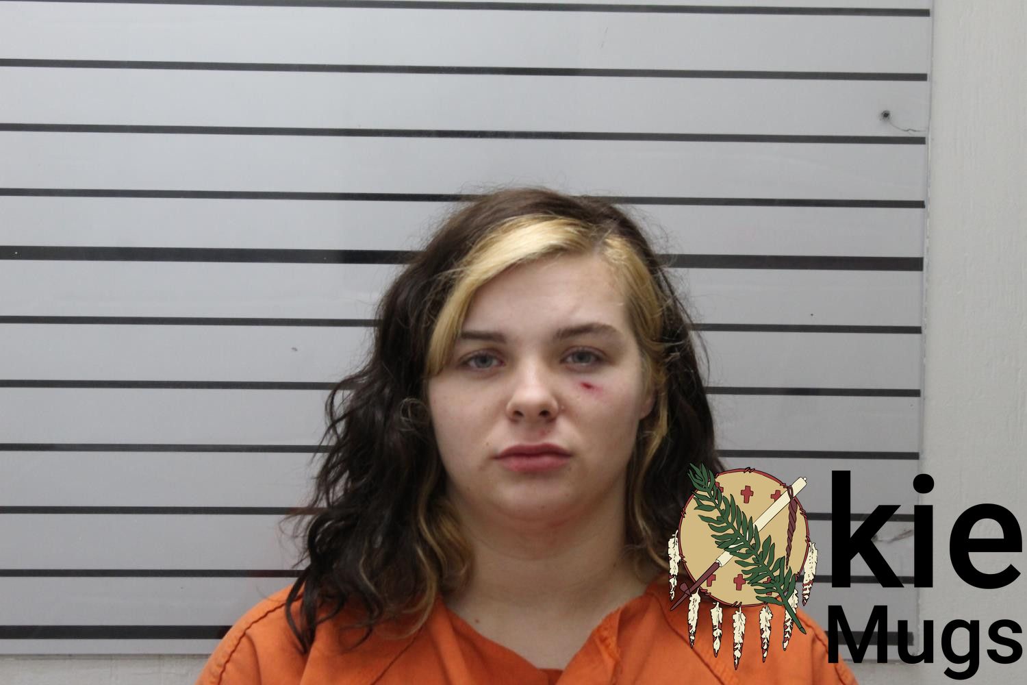 Booking photo of HAILEE LYNN RICHMOND