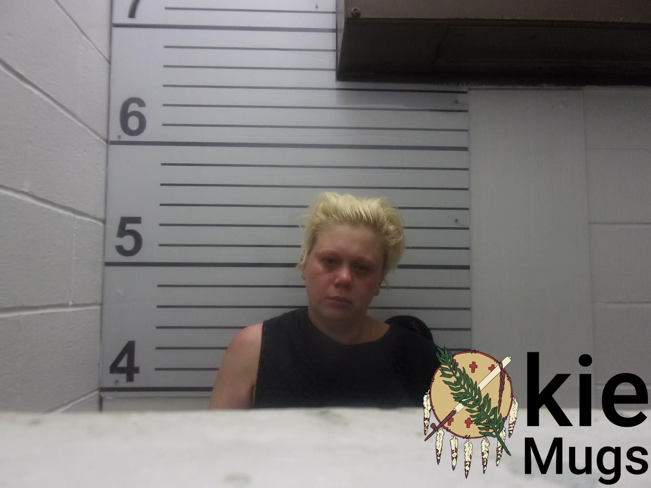 Booking photo of HALEY HUDSON