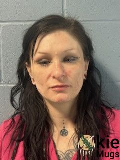 Booking photo of HALEY LAWRENCE-HAASE
