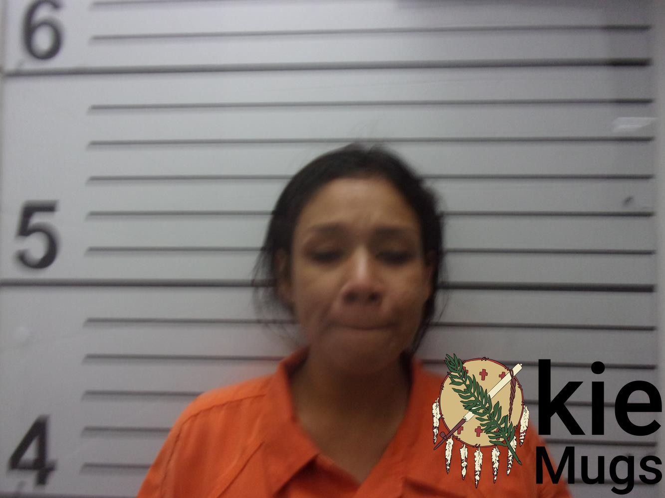 Booking photo of HEATHER V (CREEK) TECUMSEH