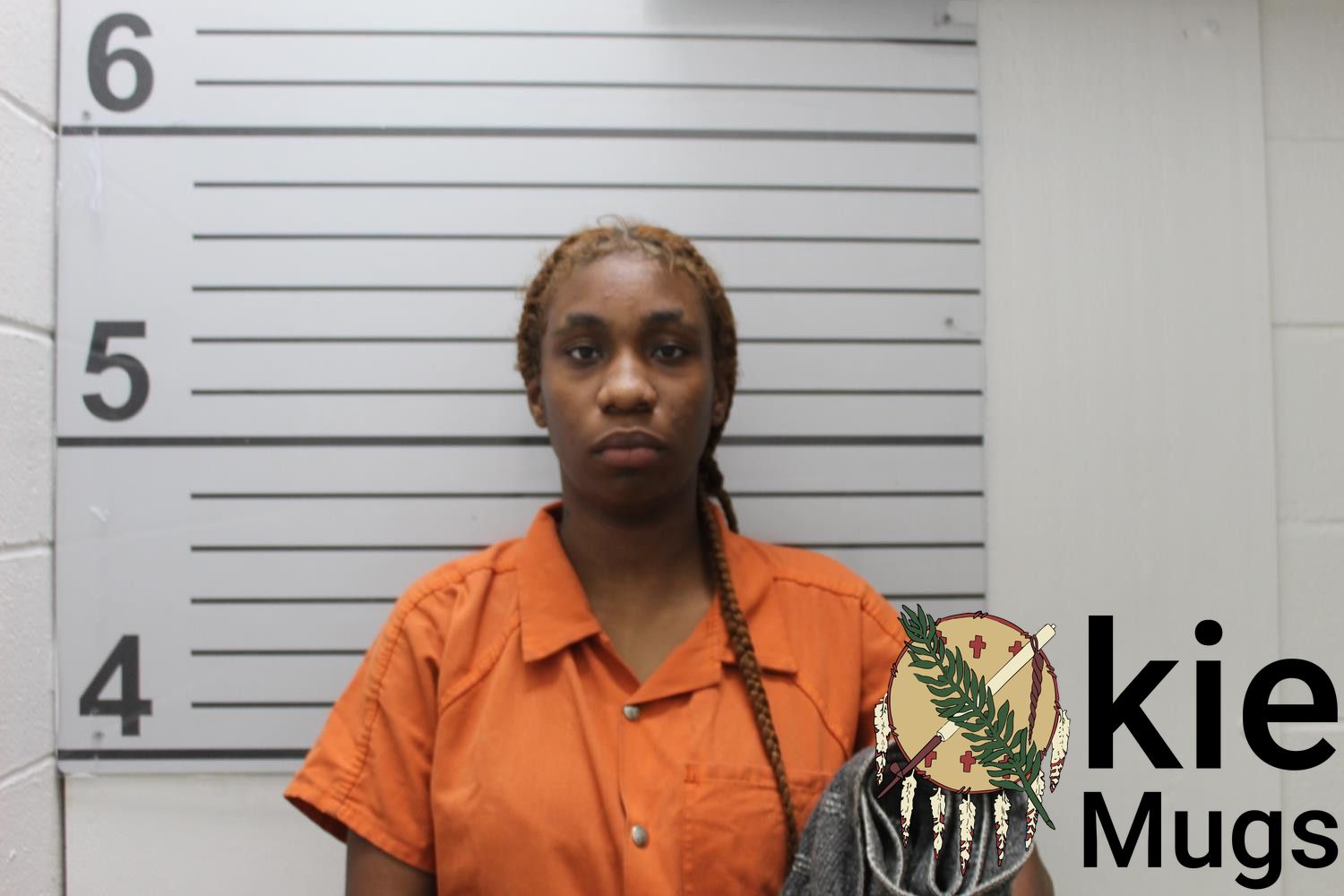 Booking photo of HEAVEN BROOKS