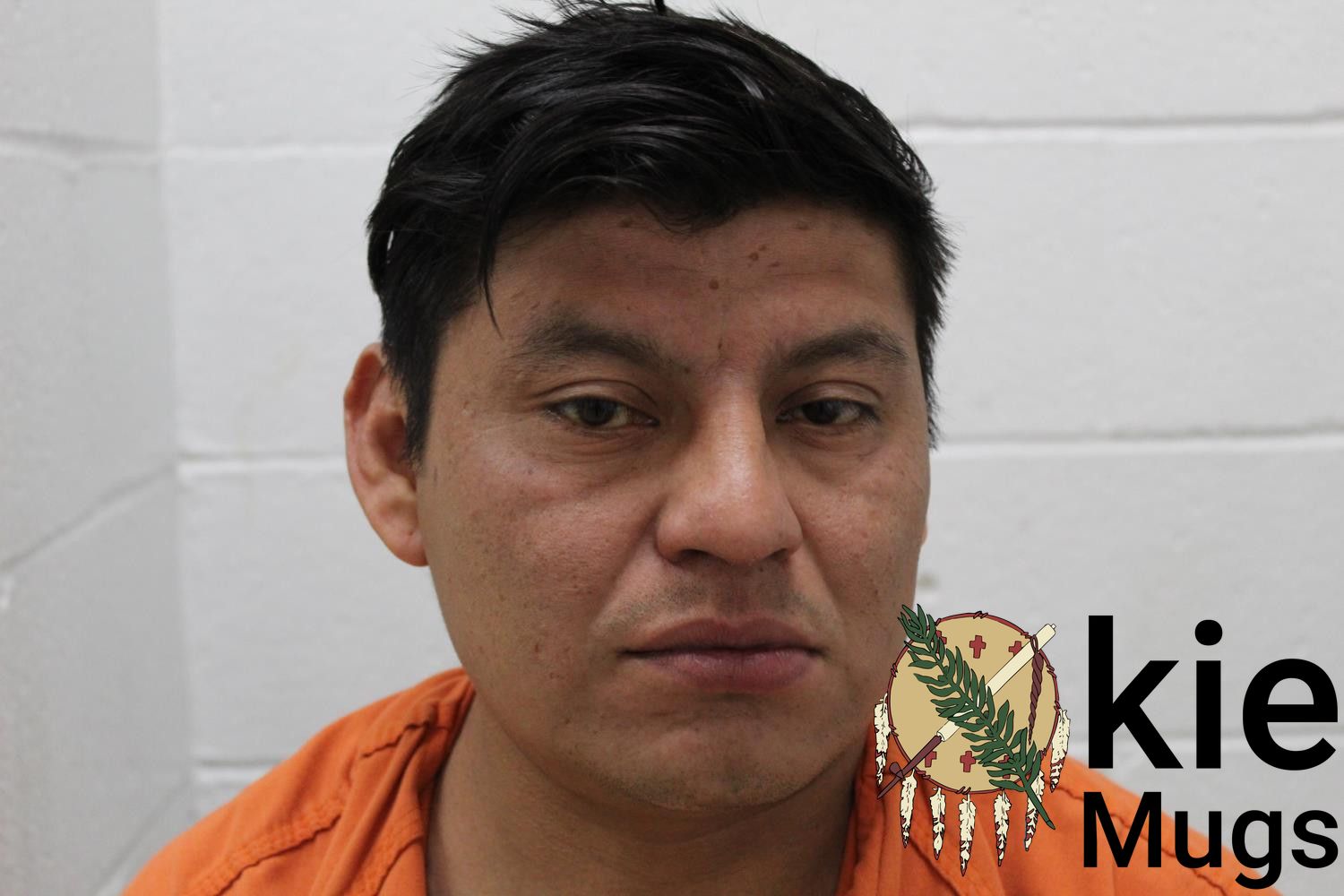 Booking photo of HERNAN HERNANDEZ-ESTRADA