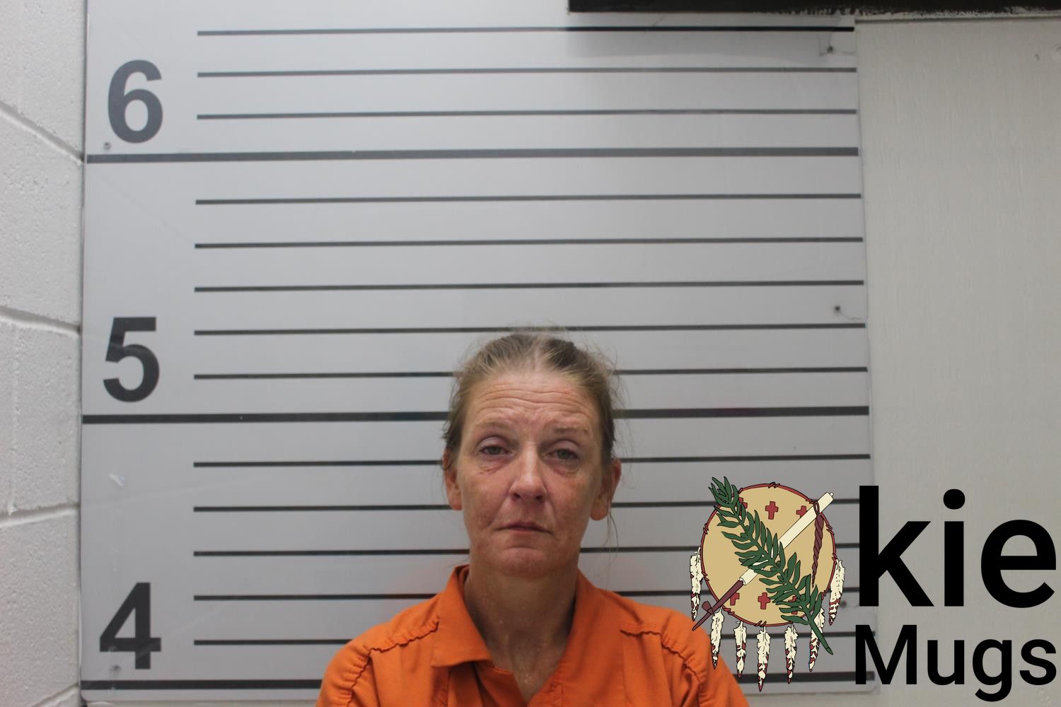 Booking photo of HILLARY CLEMENS