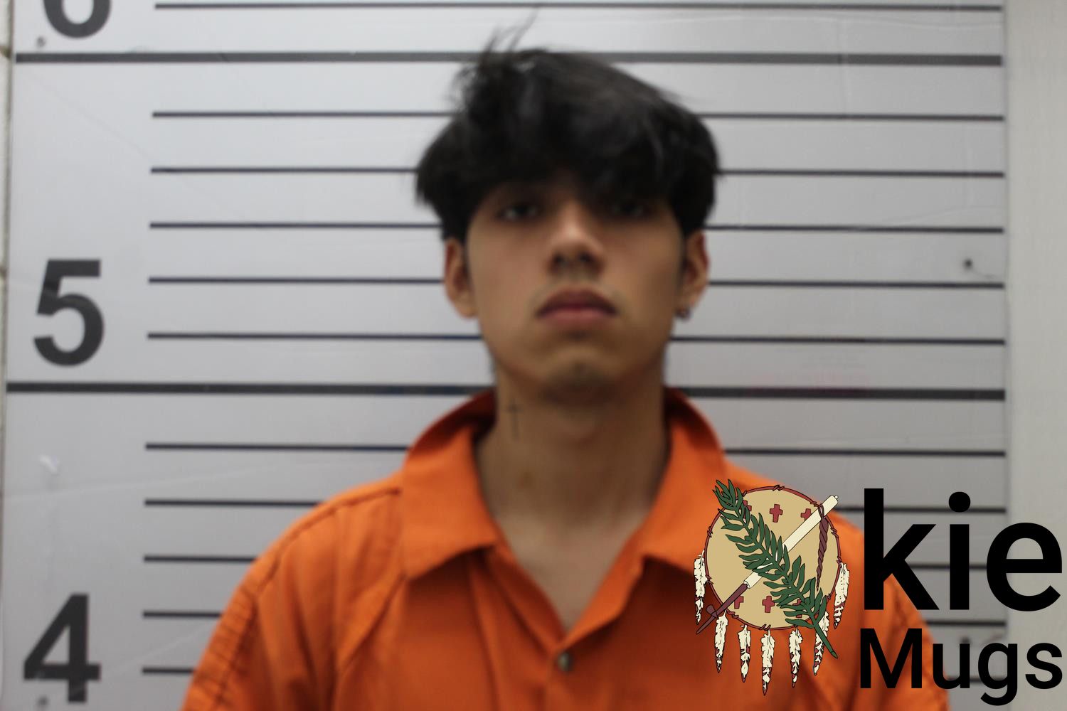 Booking photo of IRWIN TECONA MEDINA