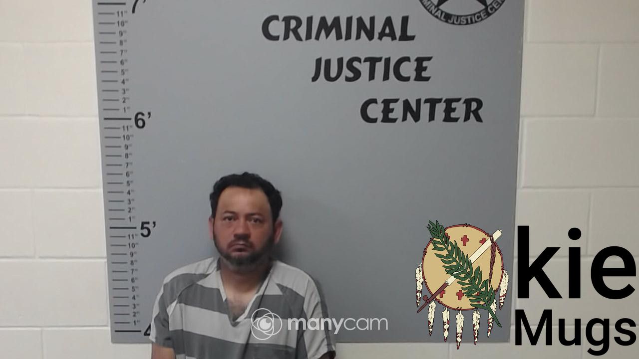 Booking photo of IVIS MEJIA