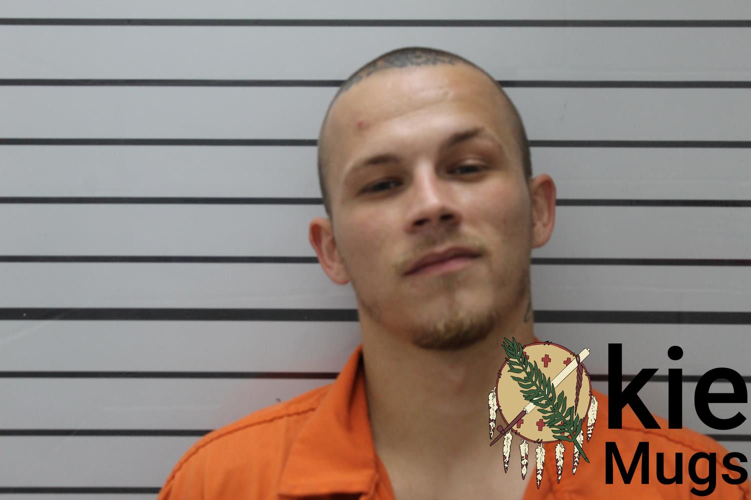 Booking photo of JAMES AARON WOOD