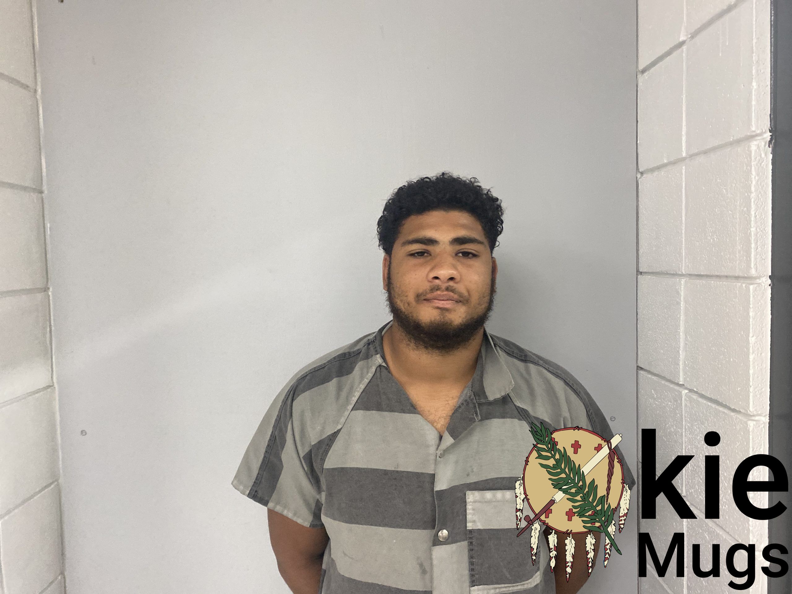 Booking photo of JAMES FITZPATRICK III