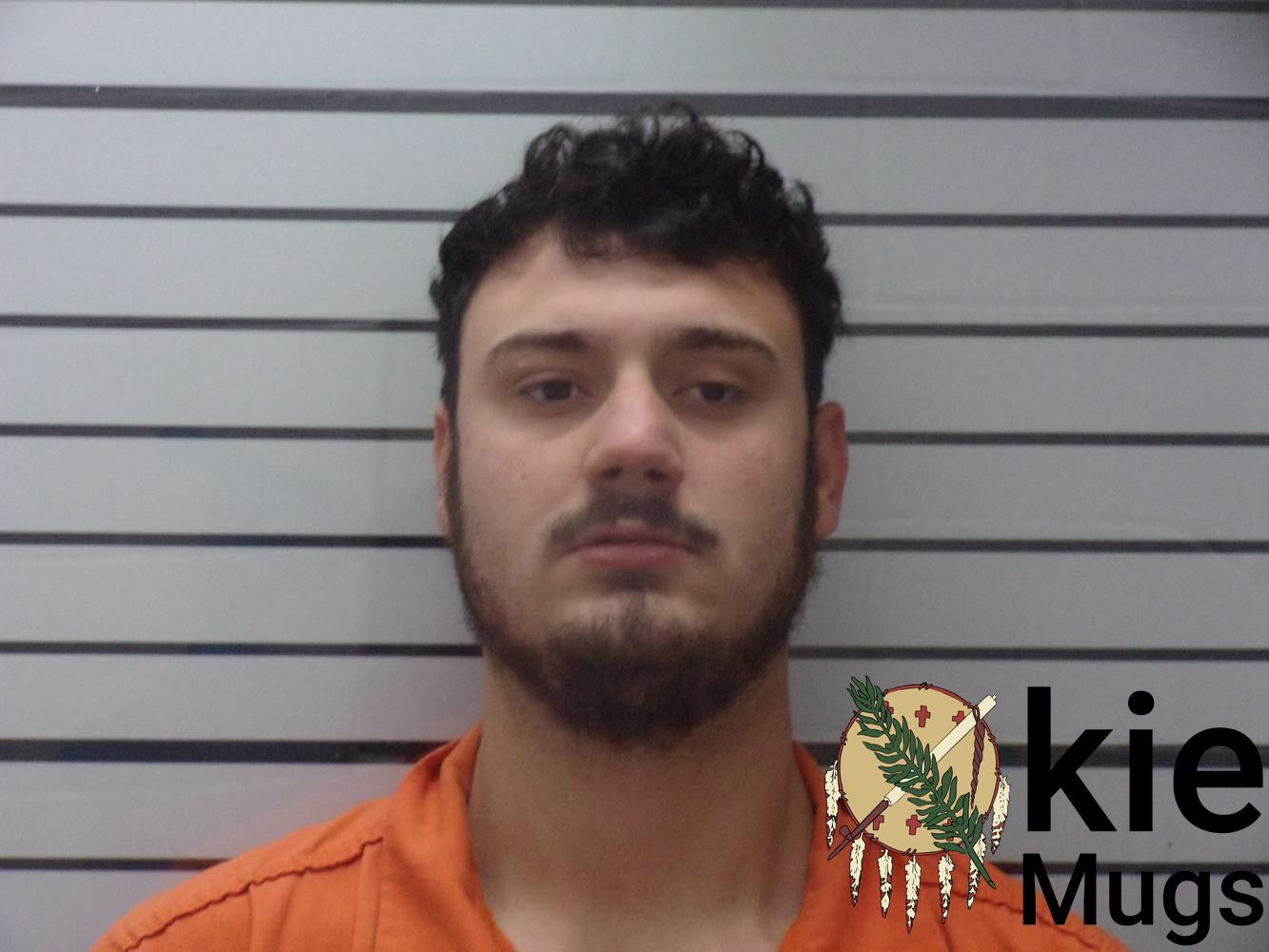 Booking photo of JAMES J LEE