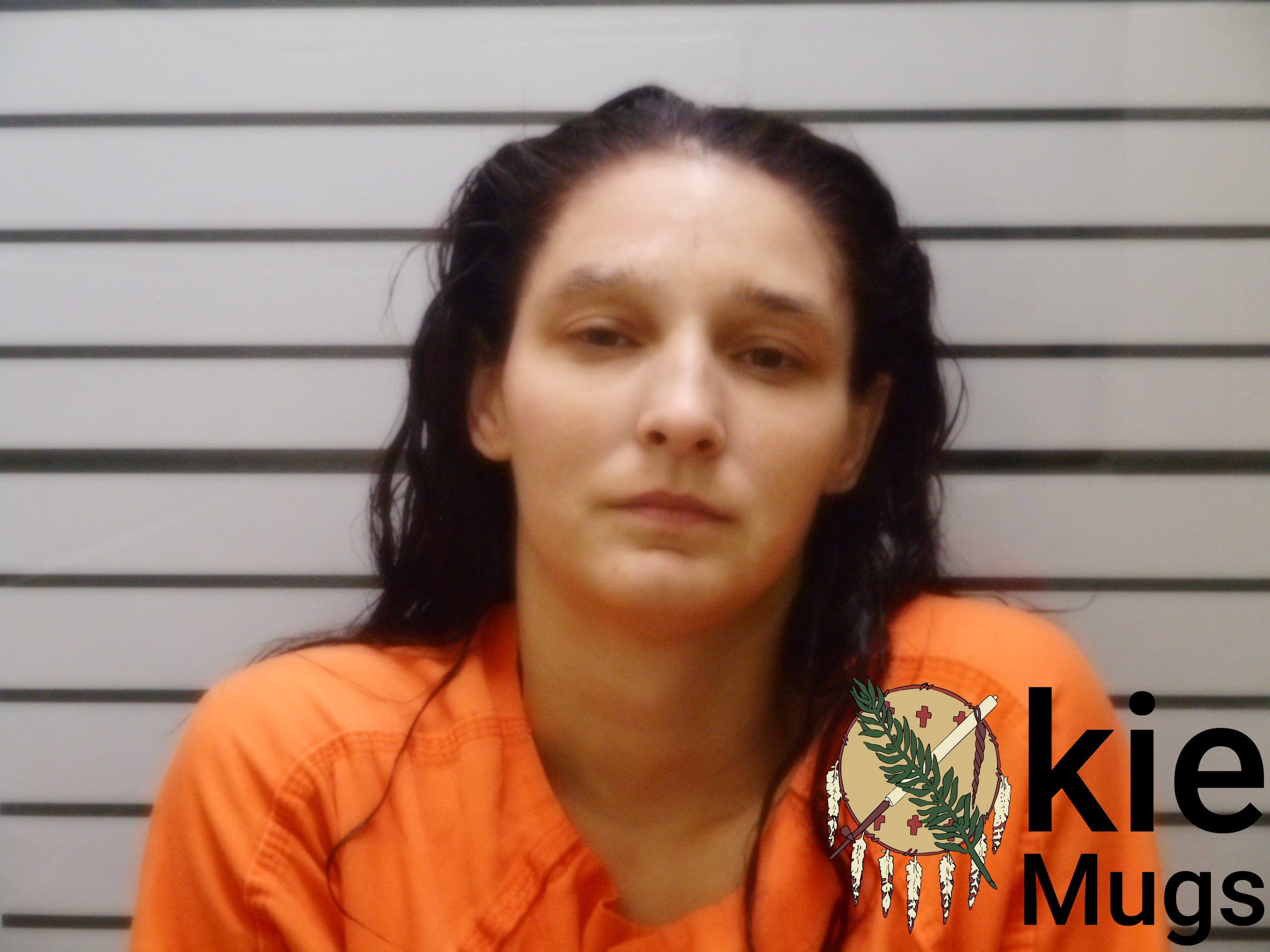 Booking photo of JAMIE CHRISTINE BURROW