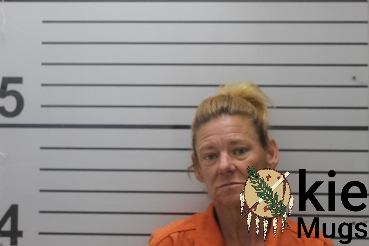 Booking photo of JAMIE ROXANNE DAVIS