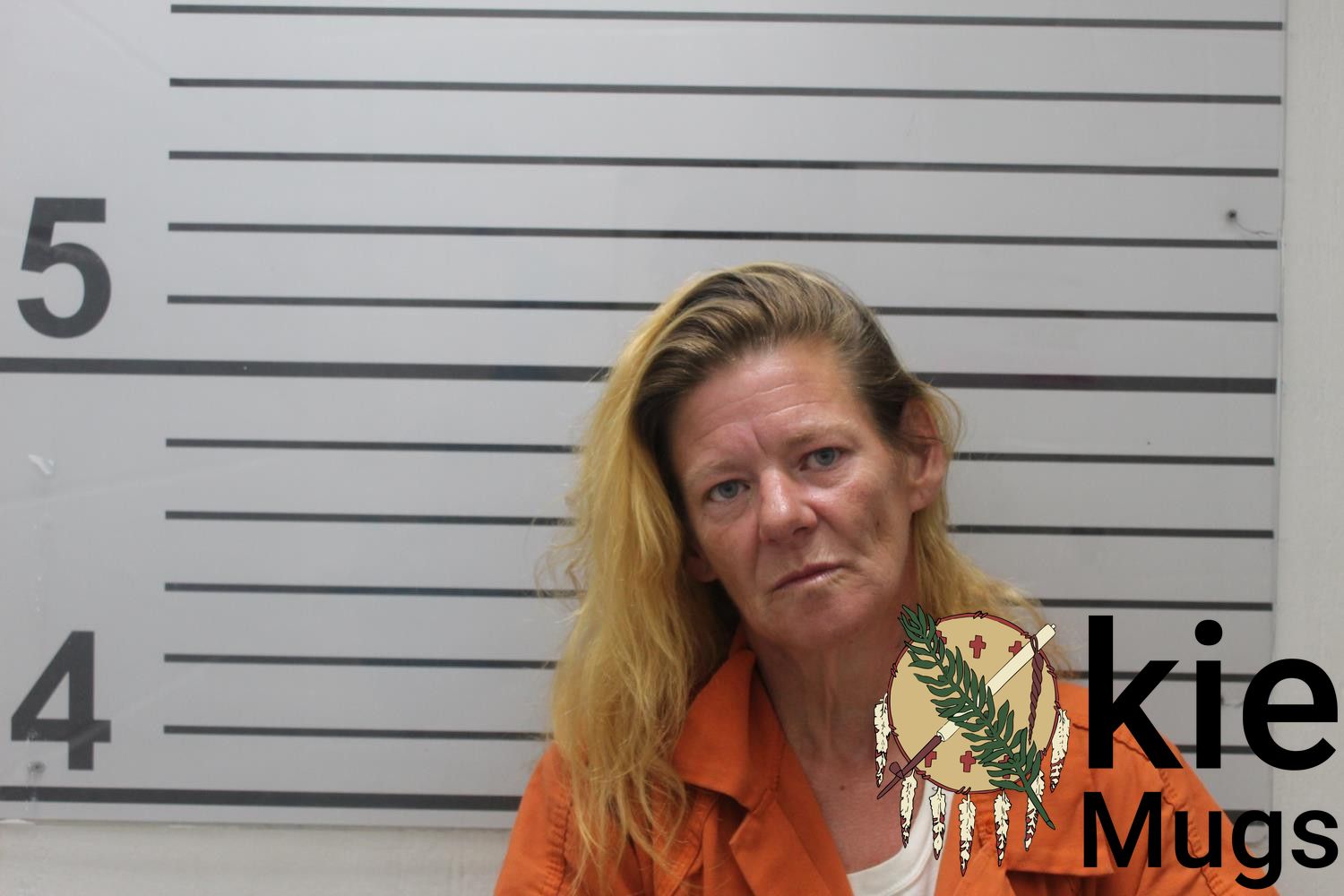 Booking photo of JAMIE ROXANNE DAVIS