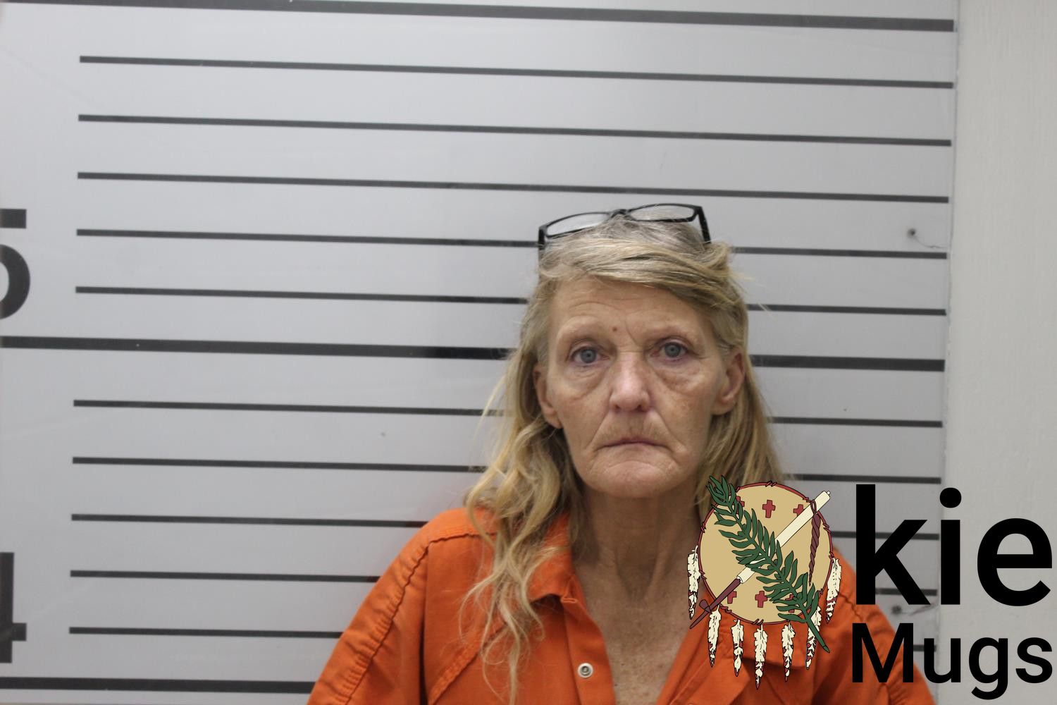 Booking photo of JANA K SWANSON