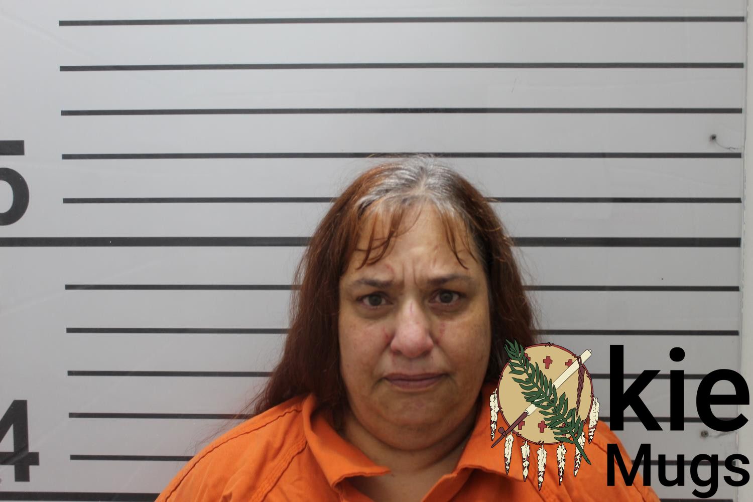 Booking photo of JANETTE HENDERSON