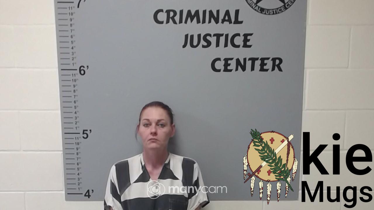 Booking photo of JANIE DENISE JENKINS